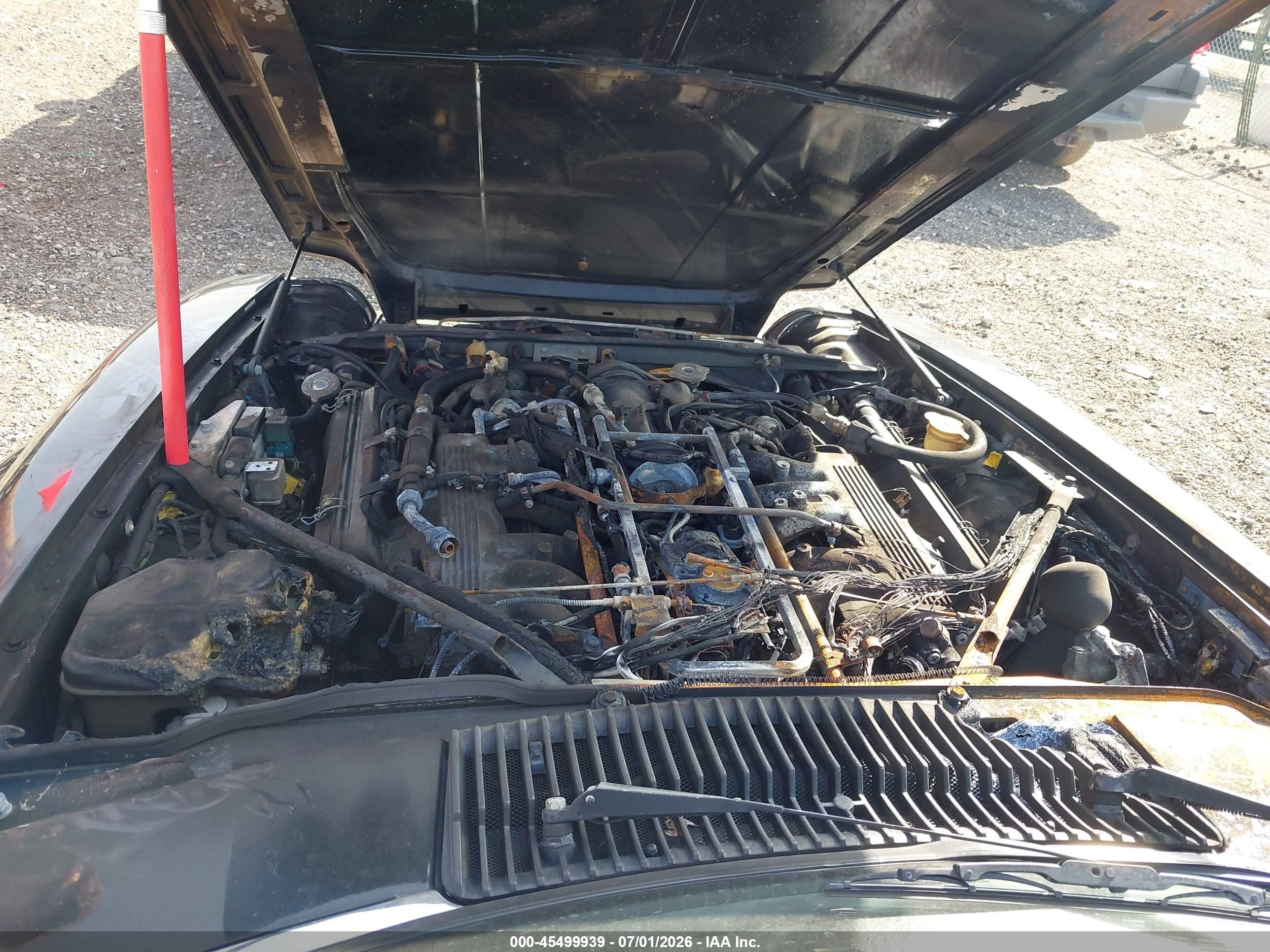 1989 Jaguar Xjs   Черный vin: SAJNV4844KC163601