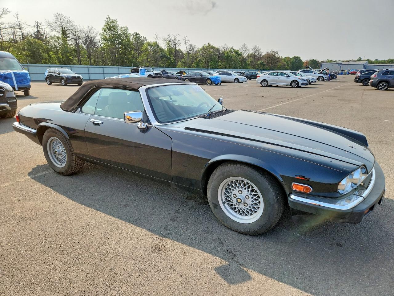 1989 Jaguar Xjs Black vin: SAJNV4845KC152168