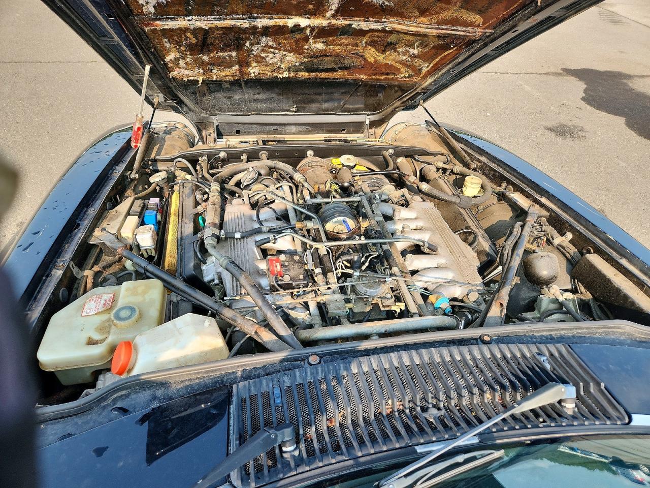 1989 Jaguar Xjs Black vin: SAJNV4845KC152168