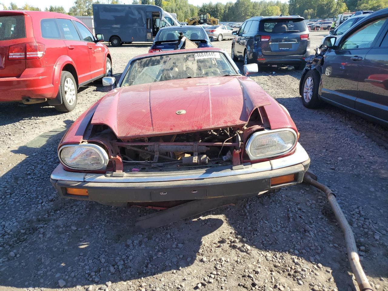 1988 Jaguar Xjs Red vin: SAJNV5841JC147781