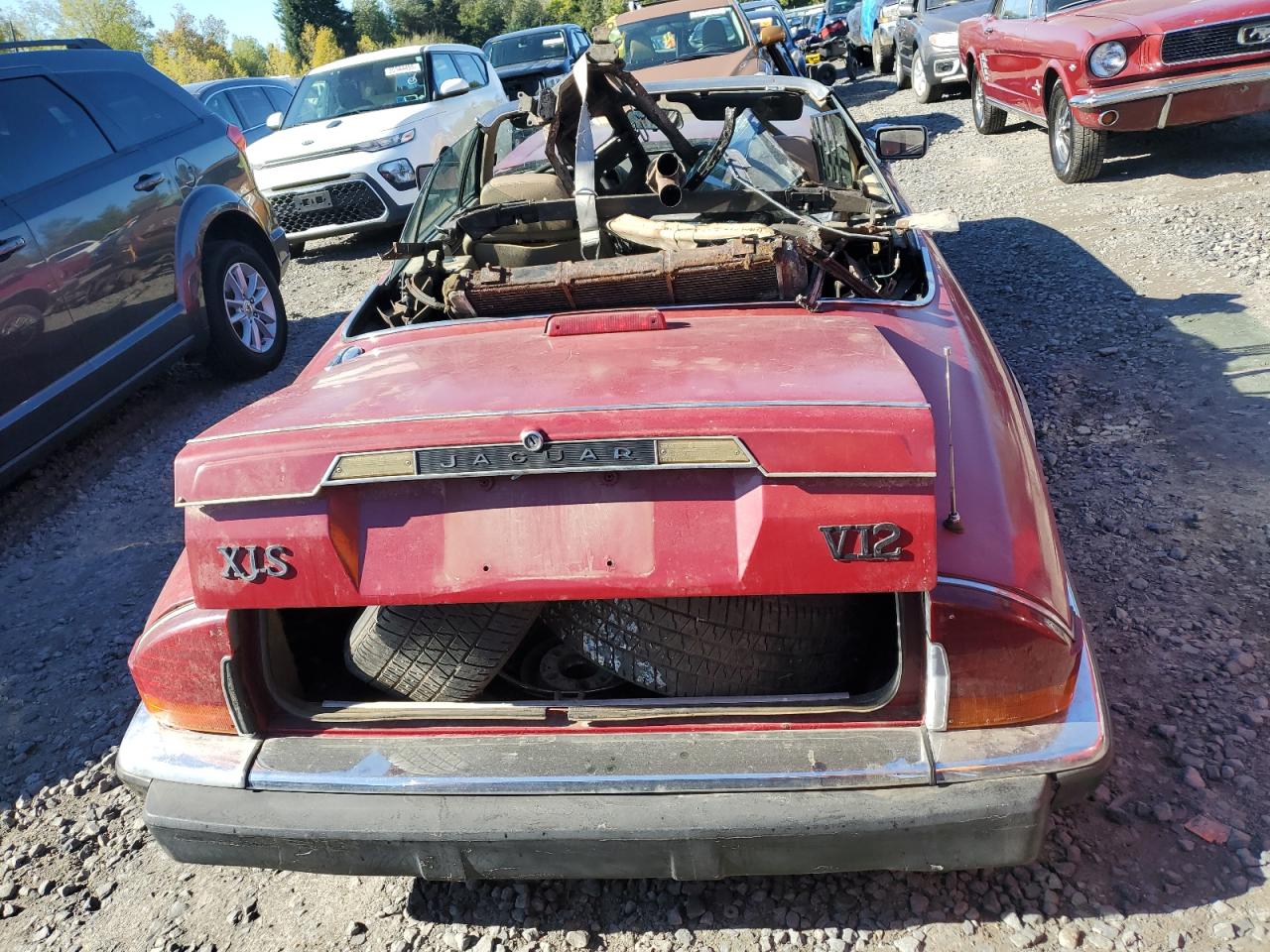 1988 Jaguar Xjs Red vin: SAJNV5841JC147781