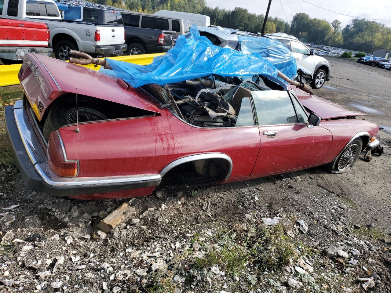 1988 Jaguar Xjs Red vin: SAJNV5841JC147781