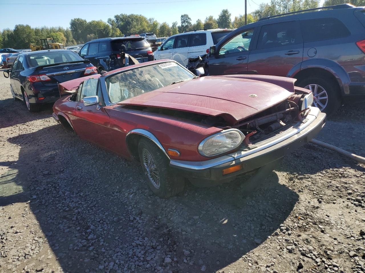 1988 Jaguar Xjs Red vin: SAJNV5841JC147781