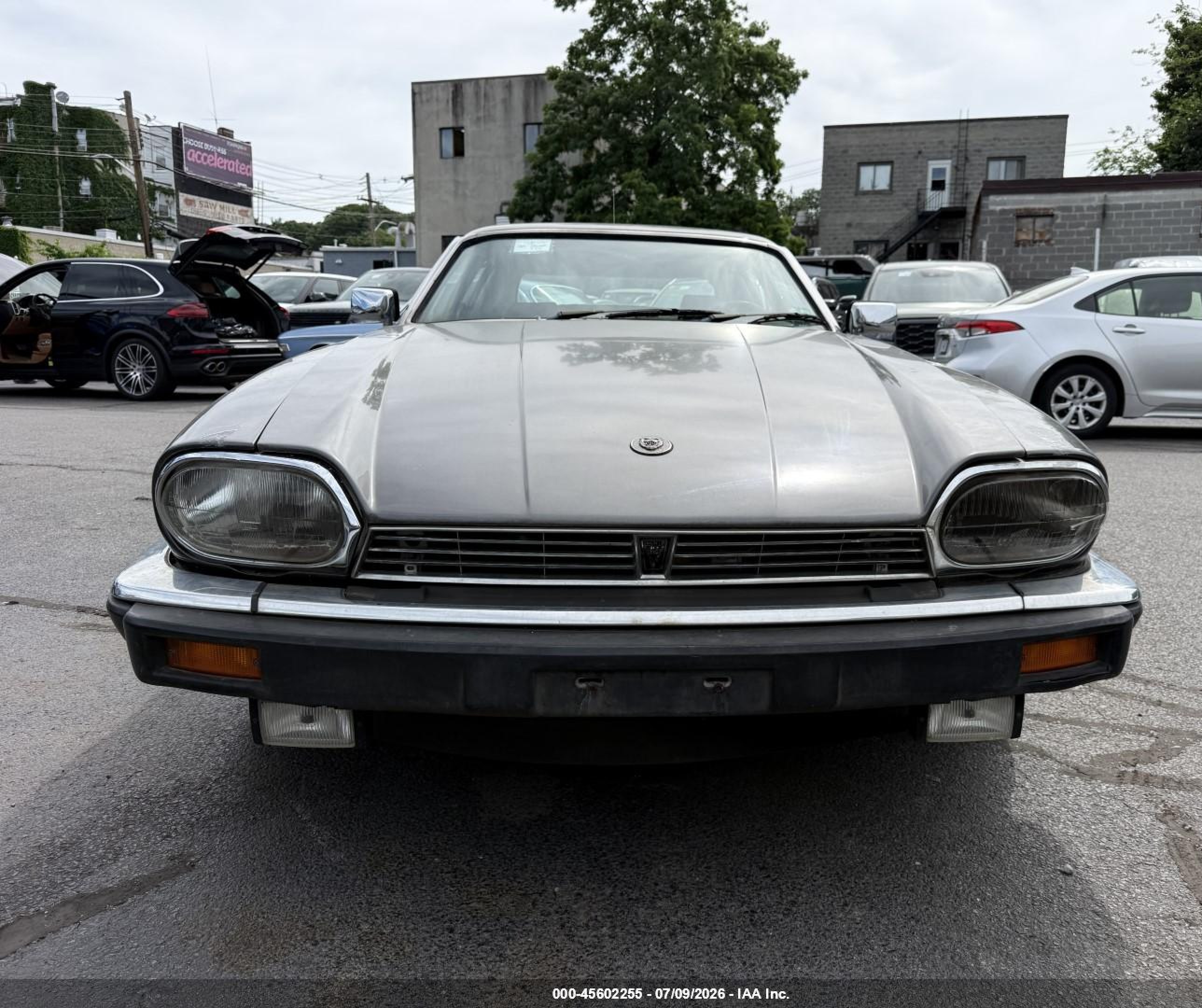 1985 Jaguar Xjs   Silver vin: SAJNV5842FC119317