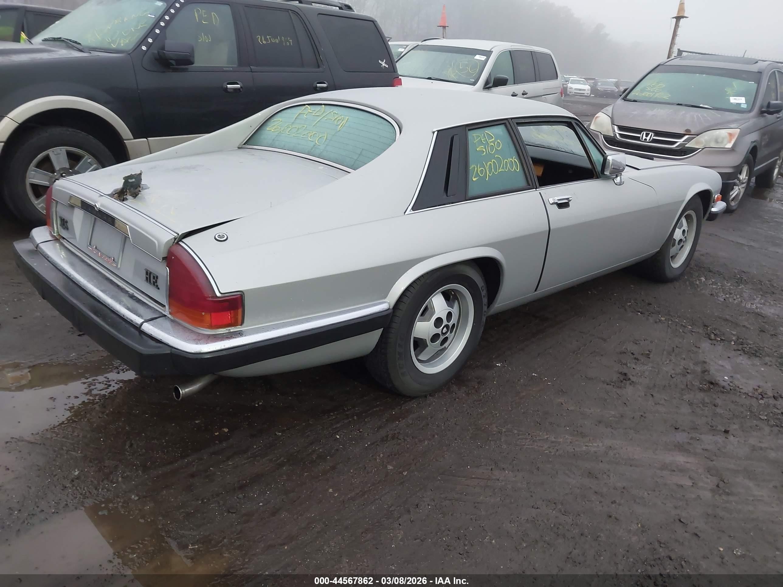 1985 Jaguar Xjs   Silver vin: SAJNV5844FC118055