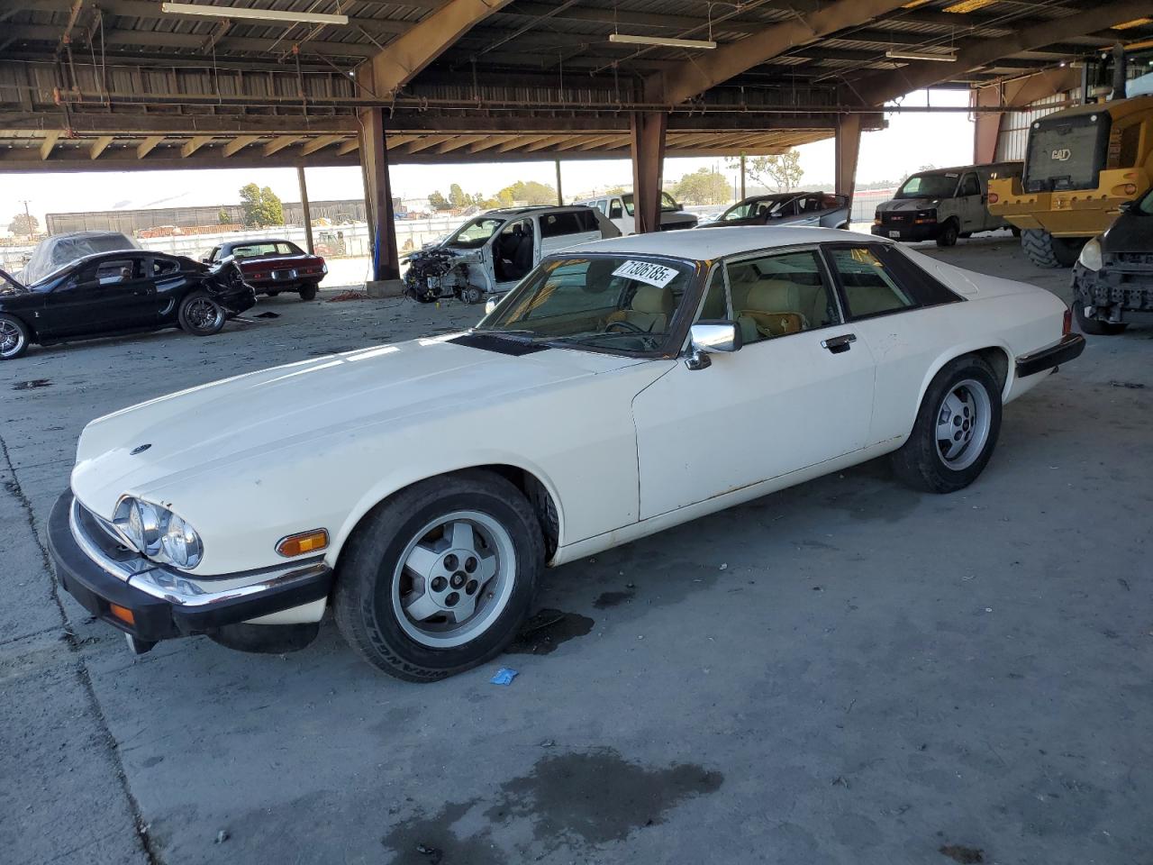 1984 Jaguar Xjs Cream vin: SAJNV5845EC113297