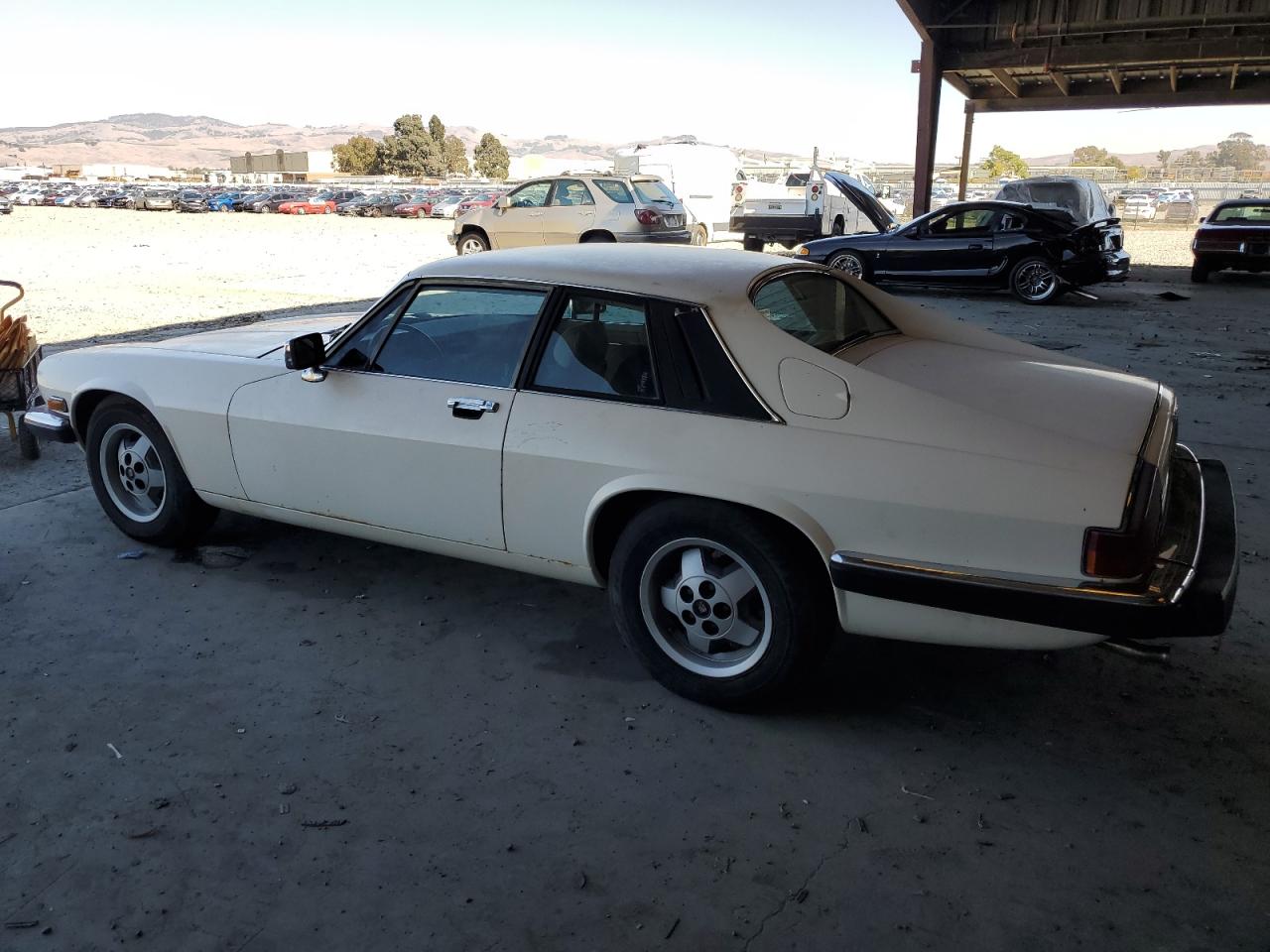 1984 Jaguar Xjs Cream vin: SAJNV5845EC113297