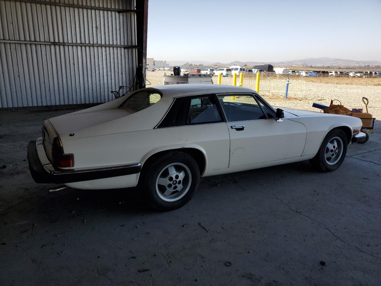 1984 Jaguar Xjs Cream vin: SAJNV5845EC113297