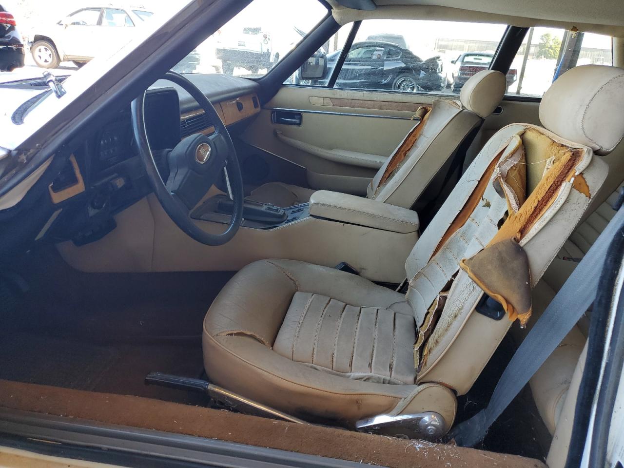 1984 Jaguar Xjs Cream vin: SAJNV5845EC113297