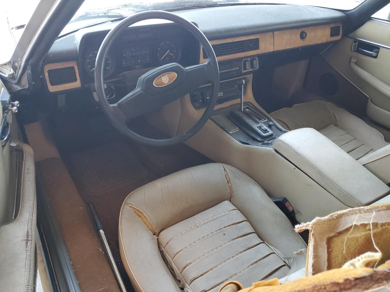 1984 Jaguar Xjs Cream vin: SAJNV5845EC113297