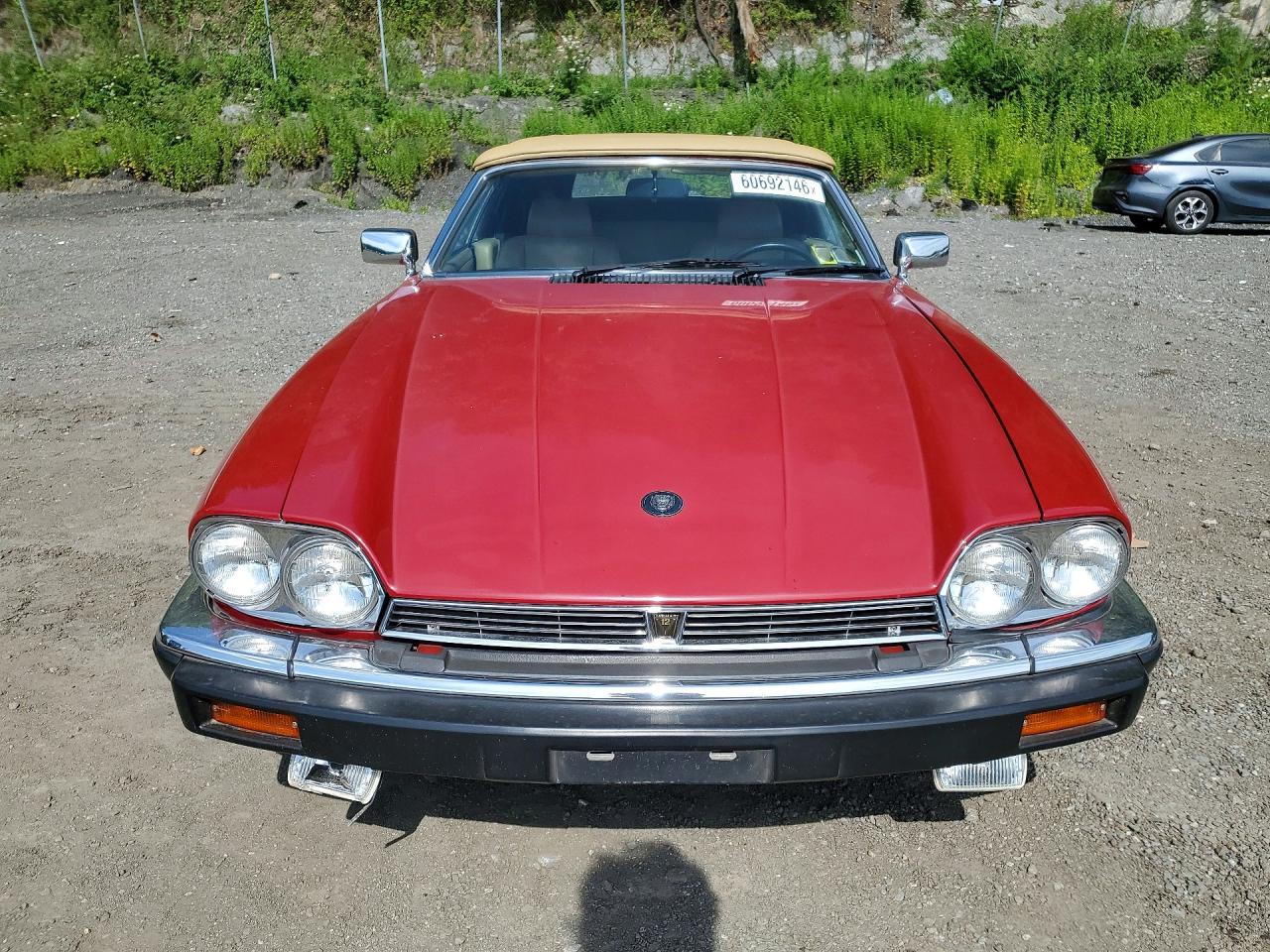 1988 Jaguar Xjs Red vin: SAJNV5845JC146570