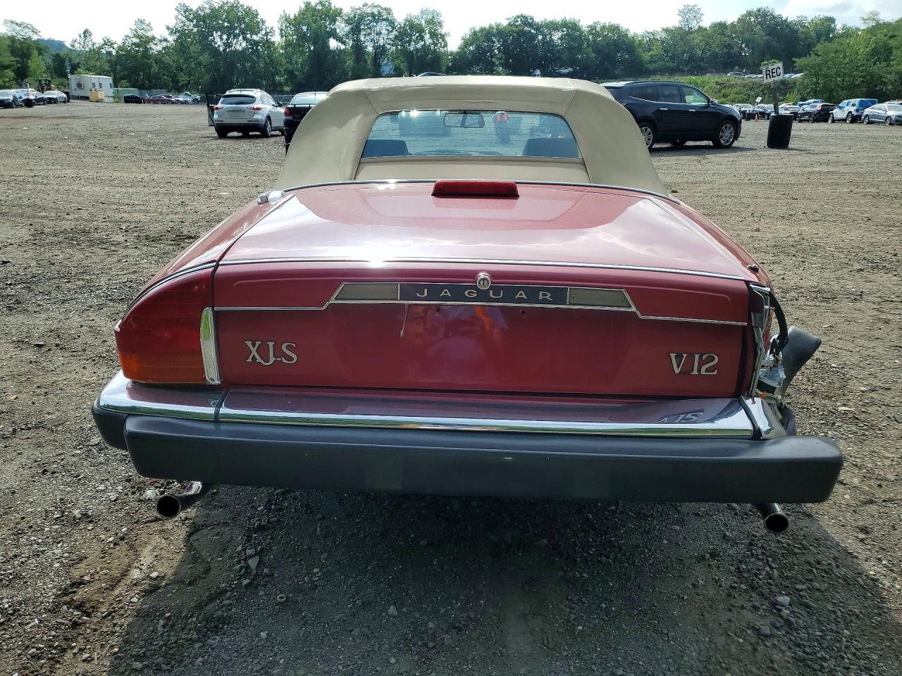 1988 Jaguar Xjs Red vin: SAJNV5845JC146570