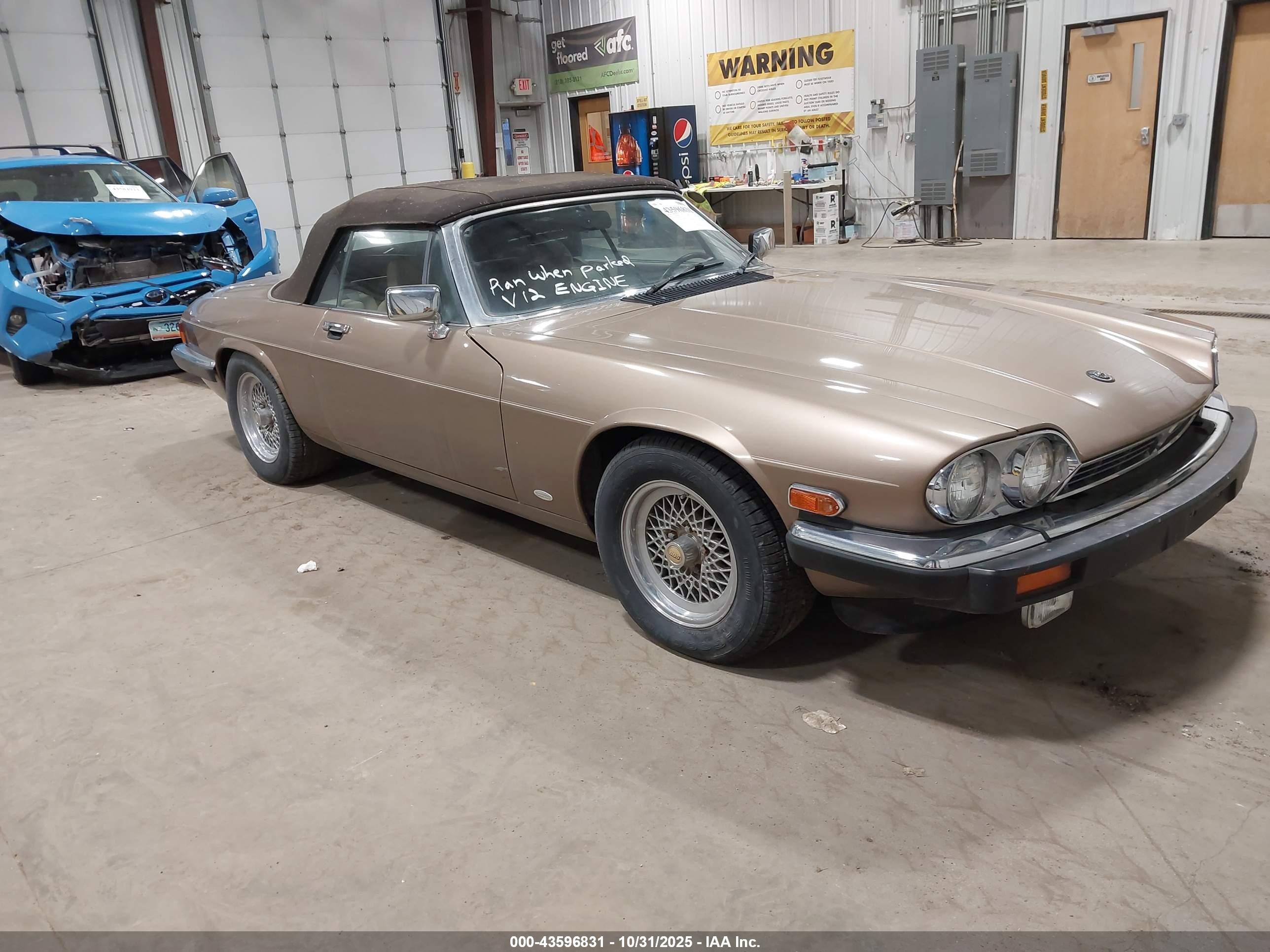 1988 Jaguar Xjs   Brown vin: SAJNV5845JC146973