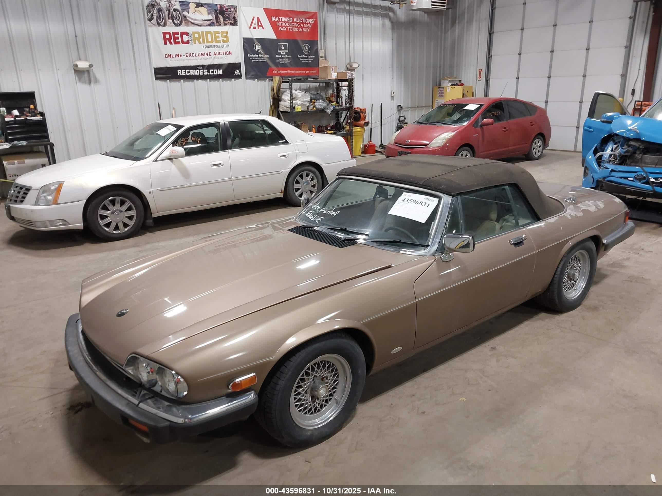 1988 Jaguar Xjs   Brown vin: SAJNV5845JC146973