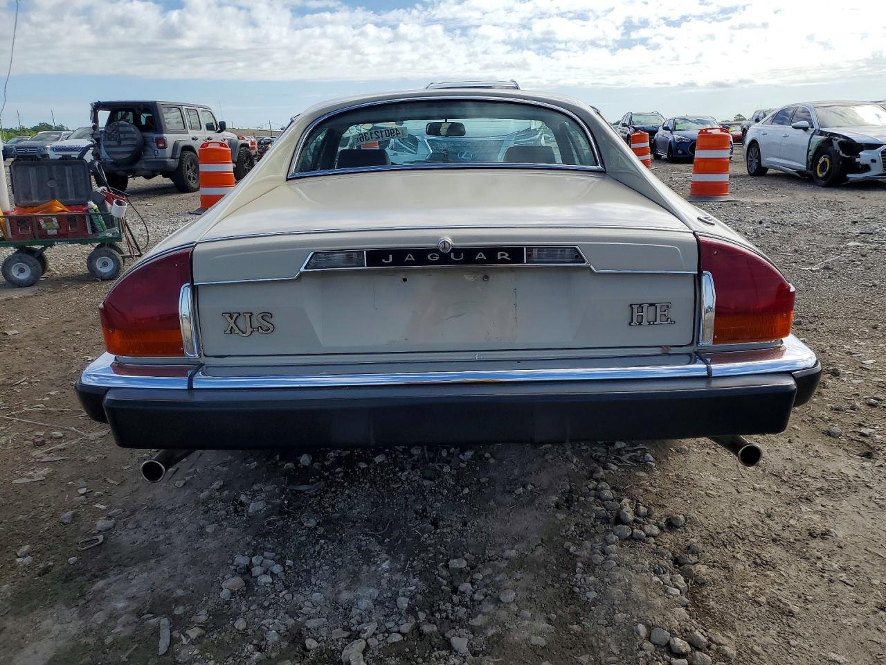 1984 Jaguar Xjs Beige vin: SAJNV5846EC117052