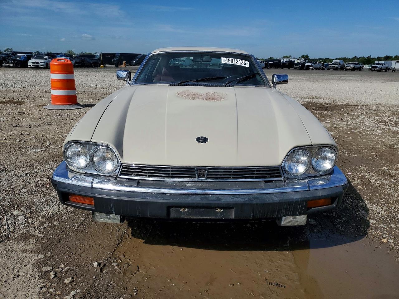 1984 Jaguar Xjs Beige vin: SAJNV5846EC117052