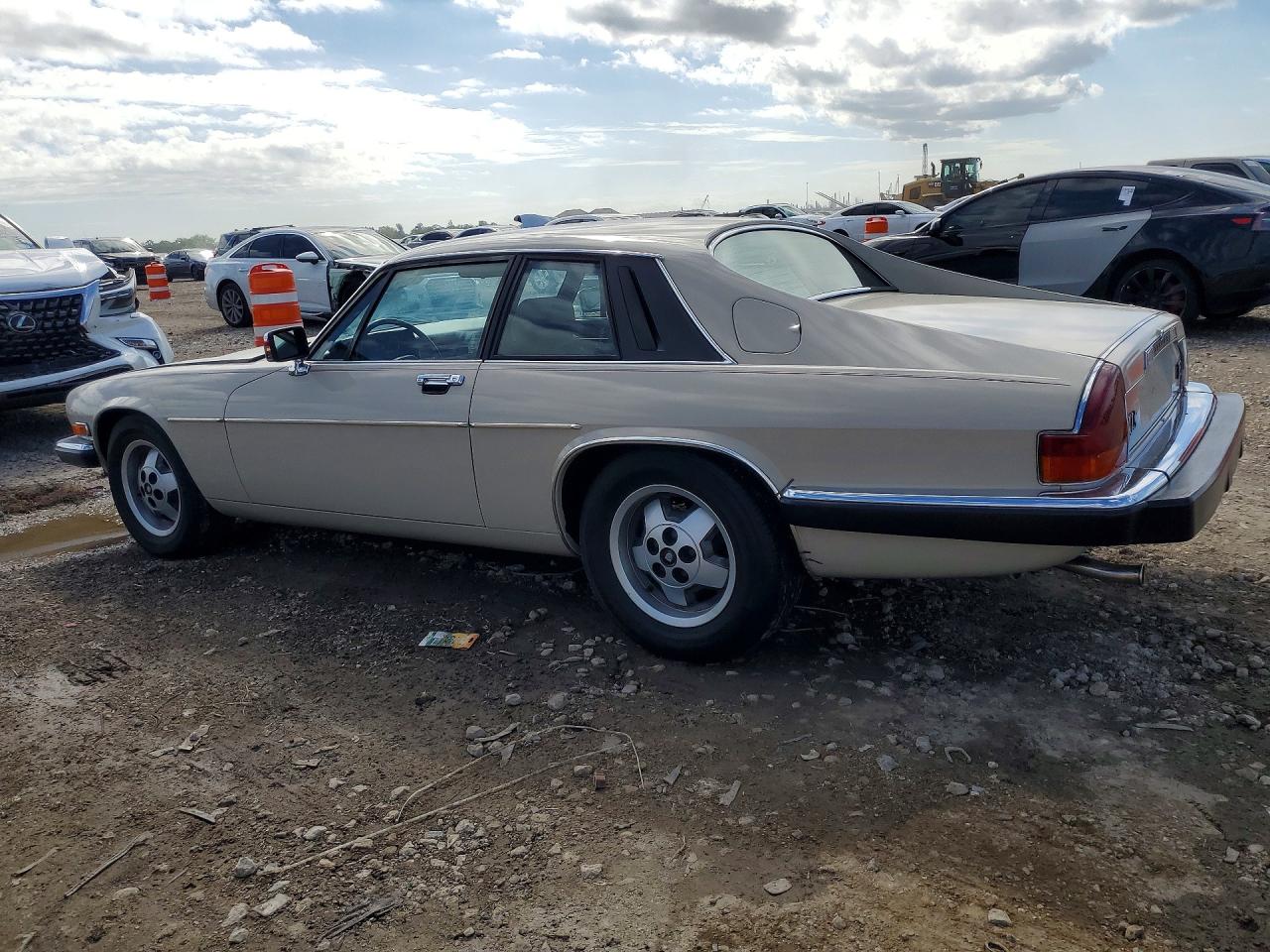 1984 Jaguar Xjs Beige vin: SAJNV5846EC117052
