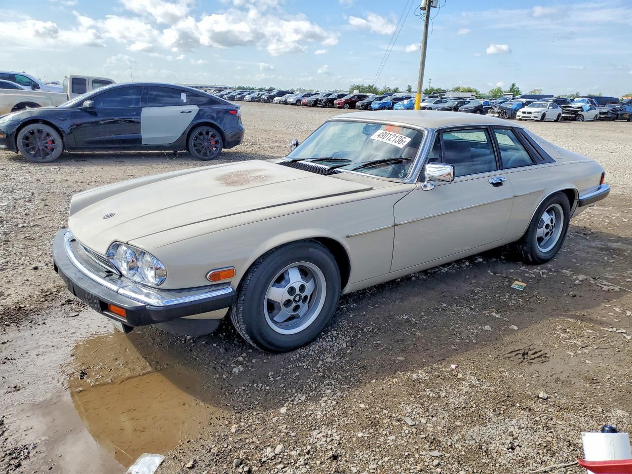 1984 Jaguar Xjs Beige vin: SAJNV5846EC117052