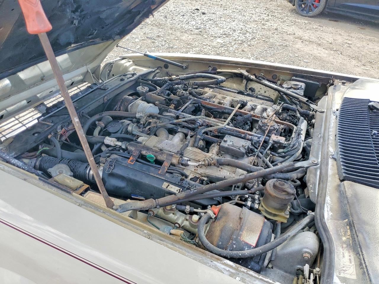 1984 Jaguar Xjs Beige vin: SAJNV5846EC117052