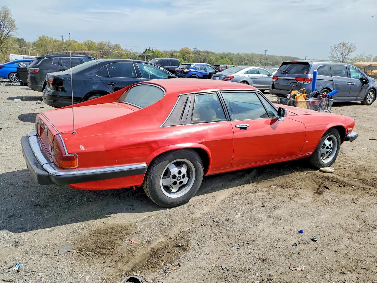 1983 Jaguar Xjs Red vin: SAJNV5847DC111288