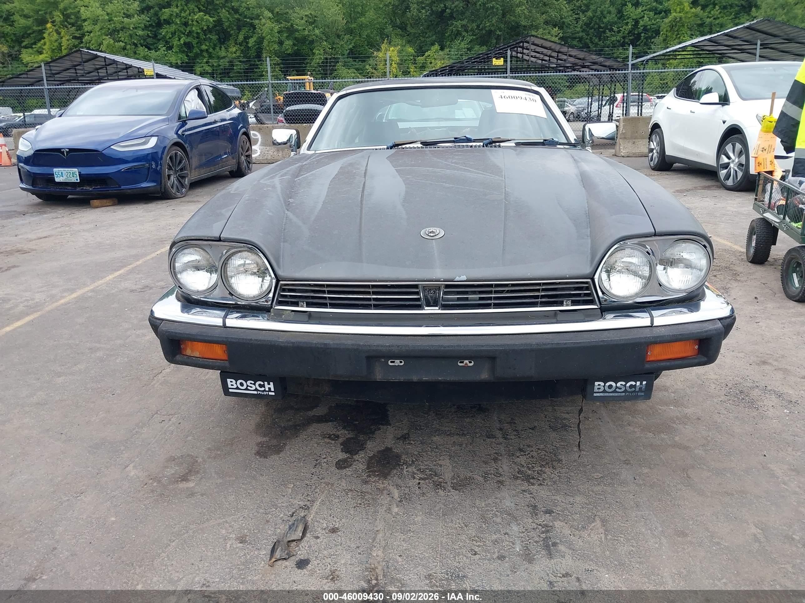 1985 Jaguar Xjs   Серый vin: SAJNV5847FC120558