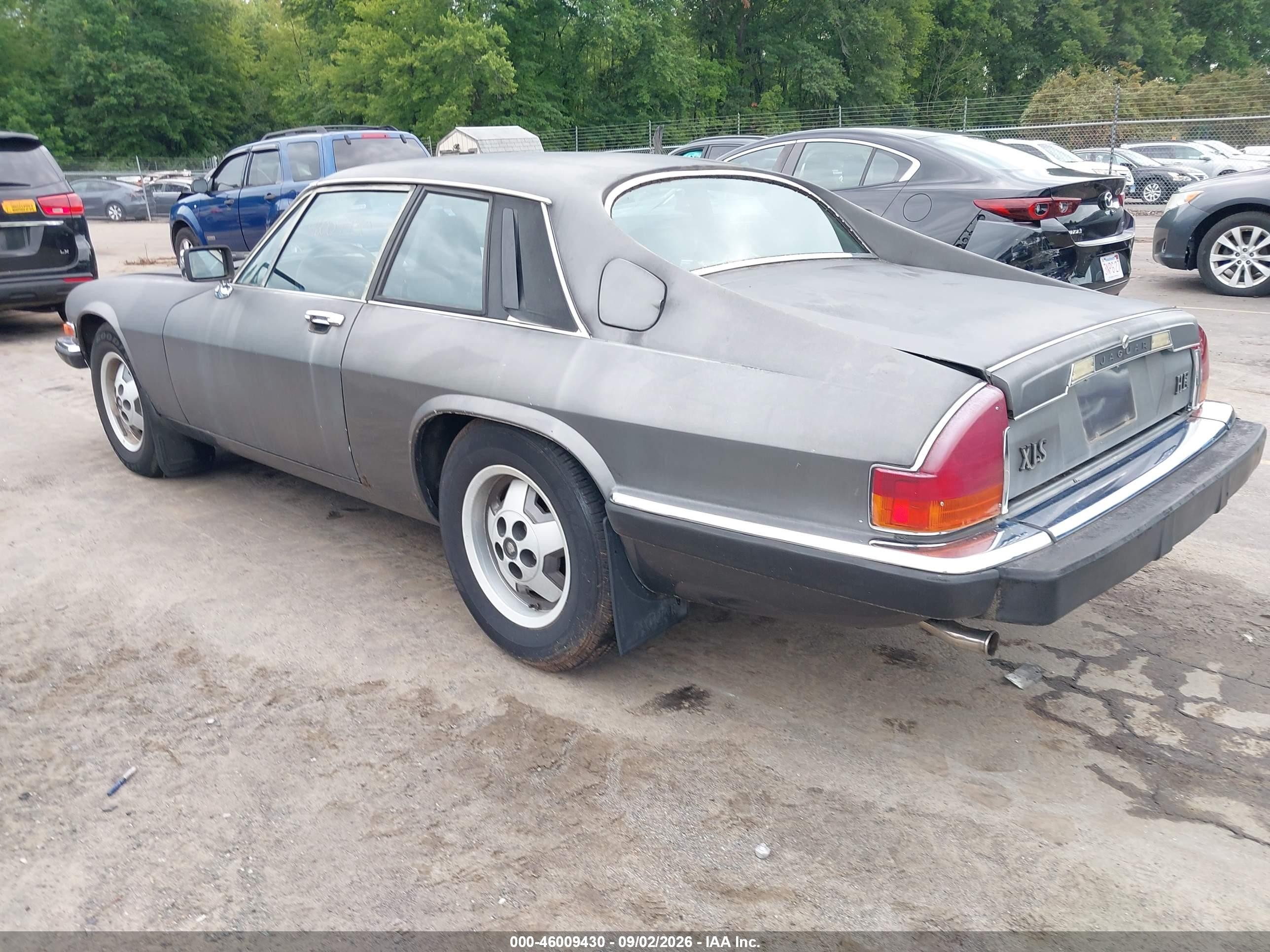 1985 Jaguar Xjs   Серый vin: SAJNV5847FC120558