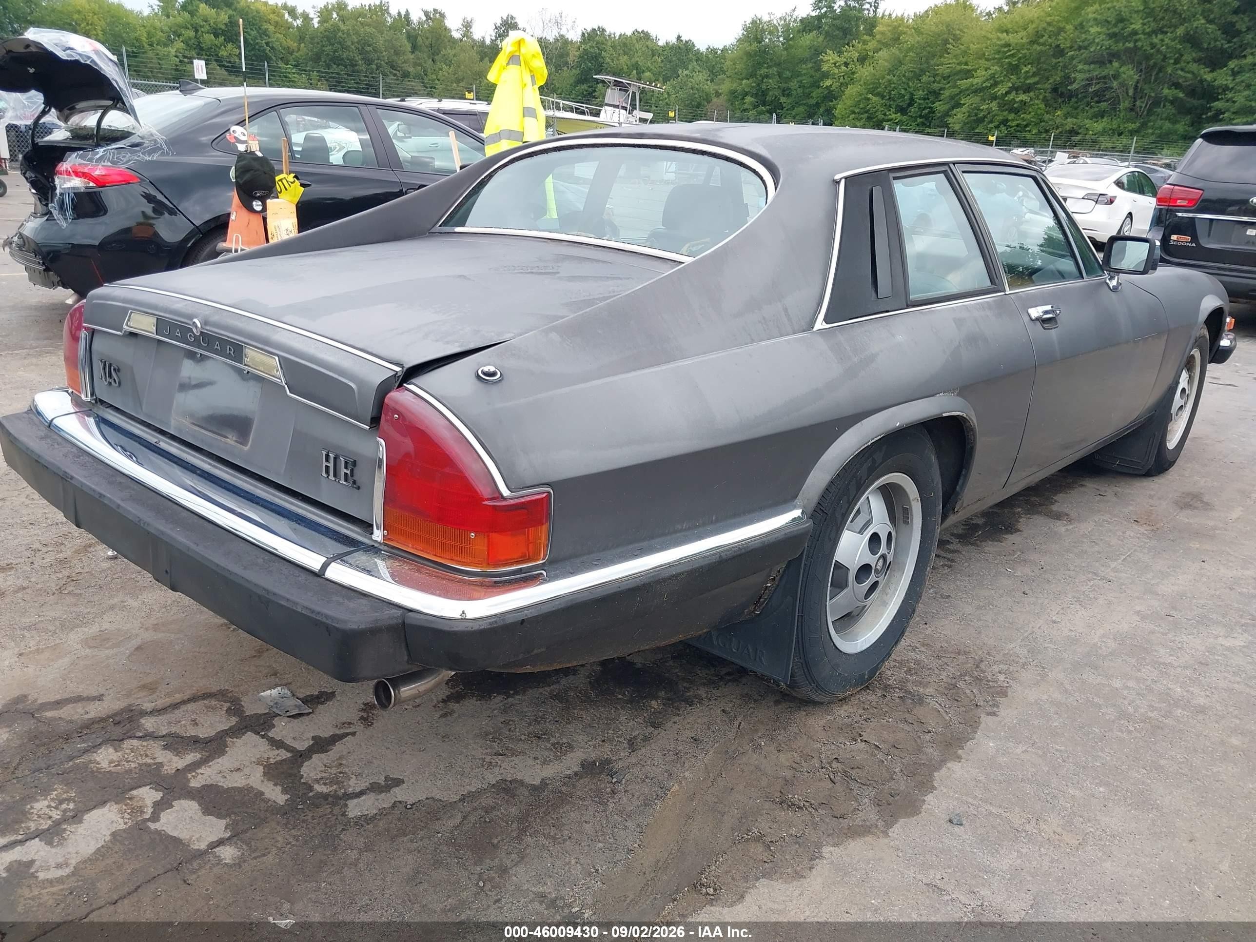 1985 Jaguar Xjs   Серый vin: SAJNV5847FC120558