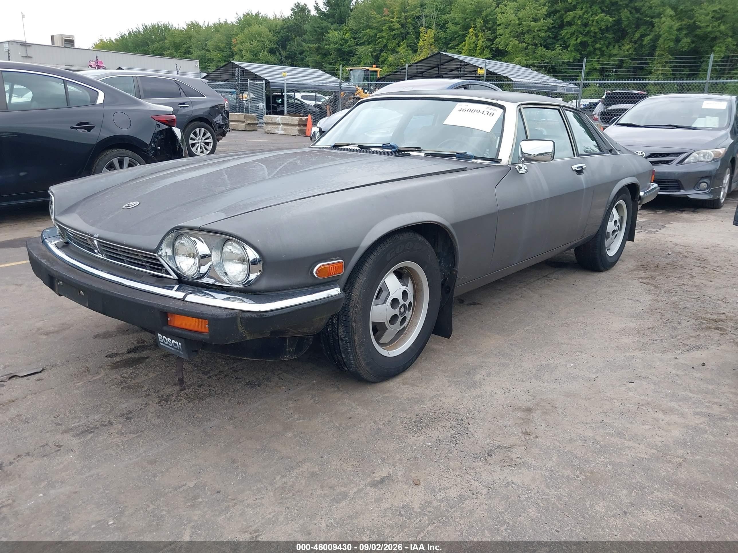 1985 Jaguar Xjs   Серый vin: SAJNV5847FC120558