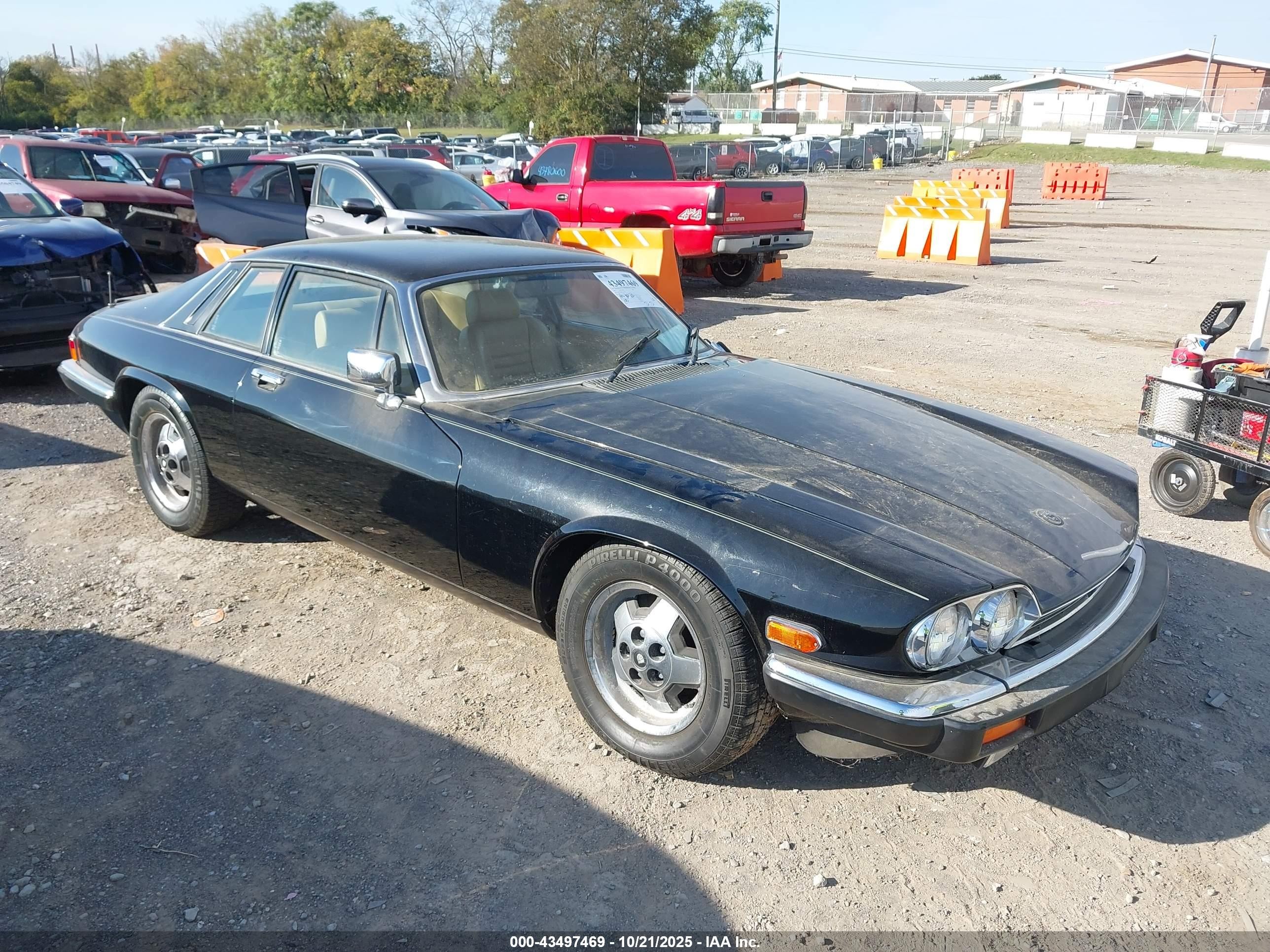 1984 Jaguar Xjs   Black vin: SAJNV5848EC112774