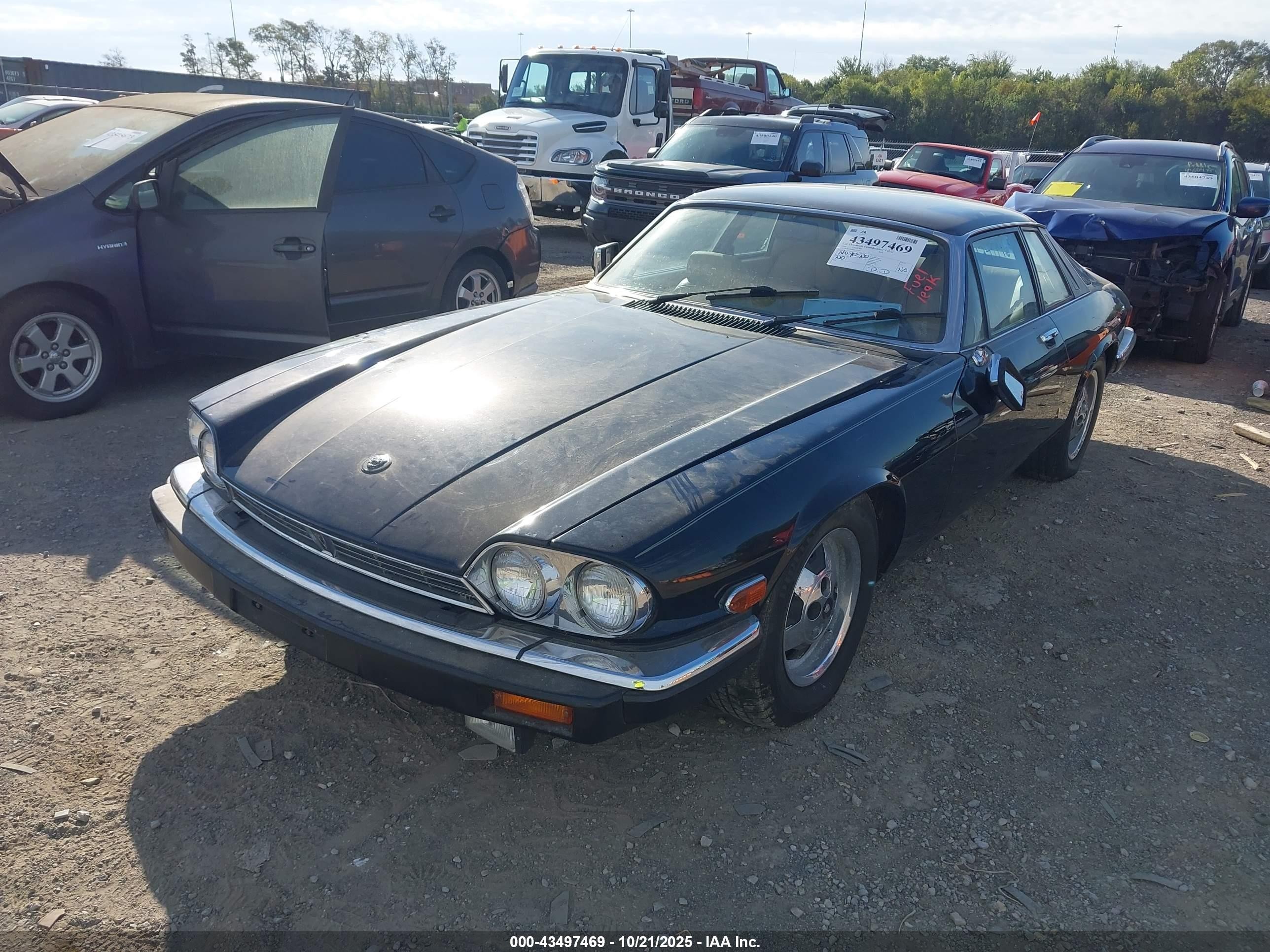 1984 Jaguar Xjs   Black vin: SAJNV5848EC112774