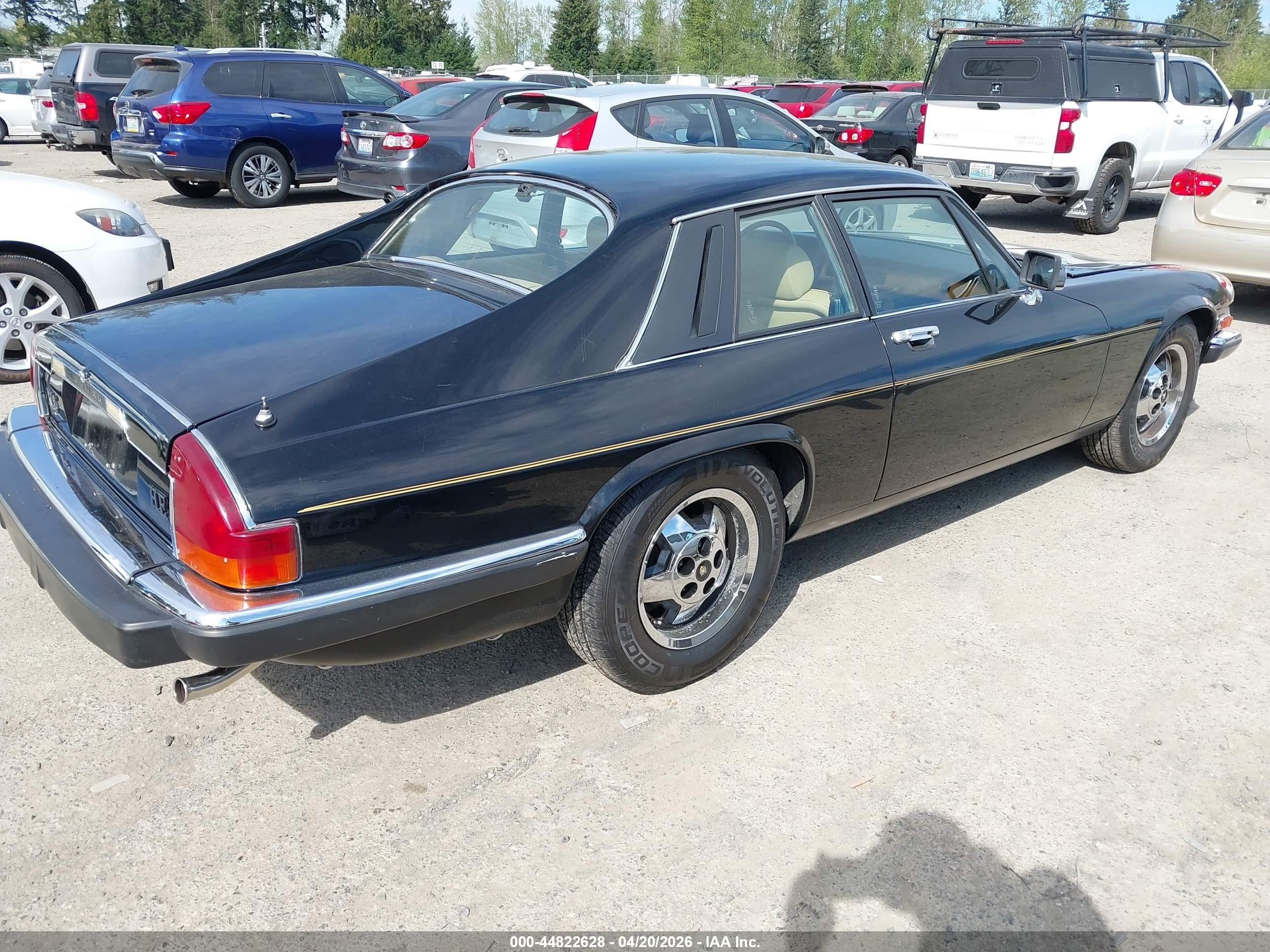 1983 Jaguar Xjs   Black vin: SAJNV584XDC110152