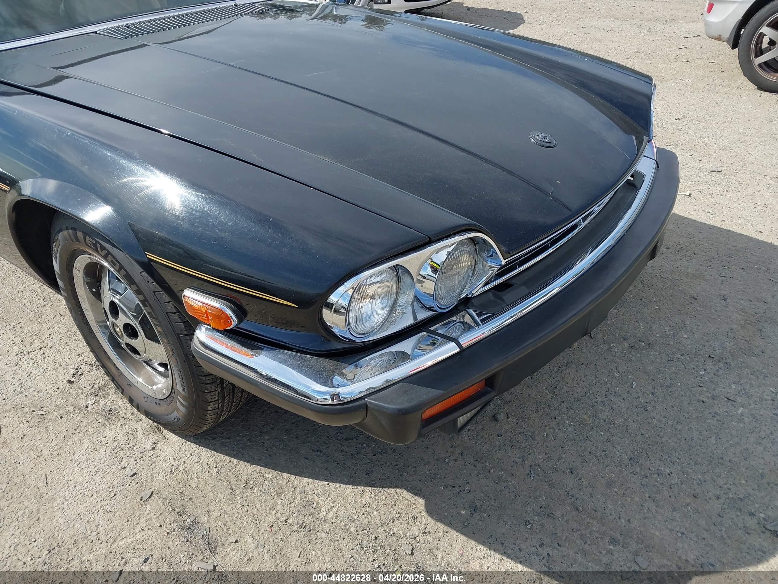 1983 Jaguar Xjs   Black vin: SAJNV584XDC110152