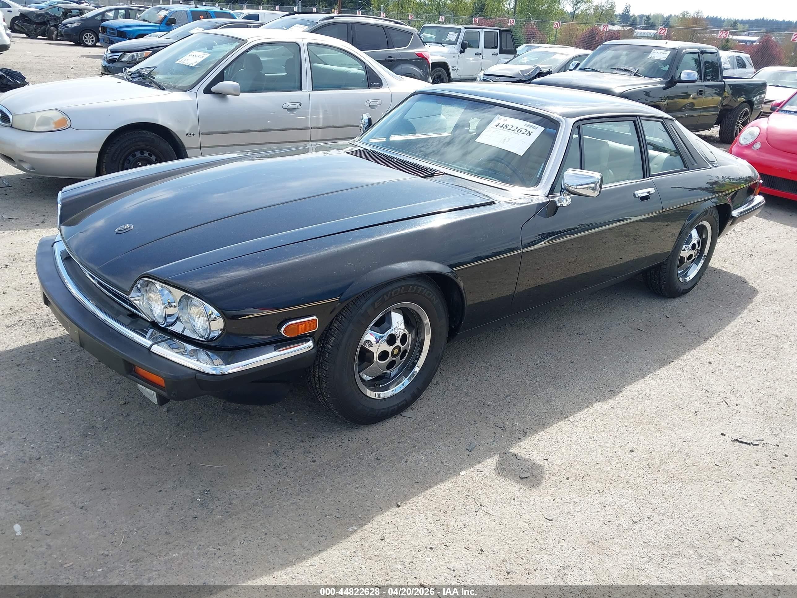 1983 Jaguar Xjs   Black vin: SAJNV584XDC110152