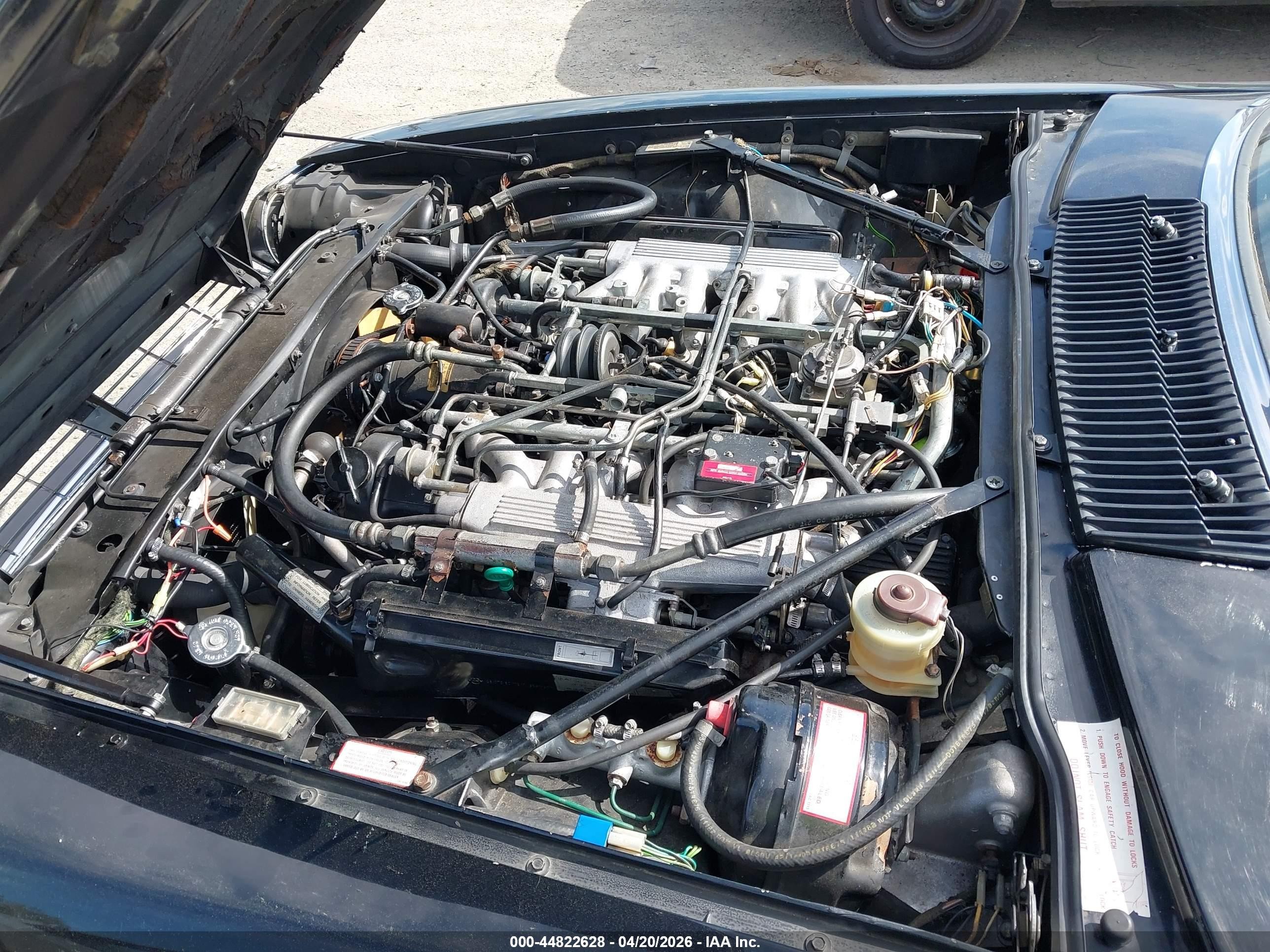 1983 Jaguar Xjs   Black vin: SAJNV584XDC110152