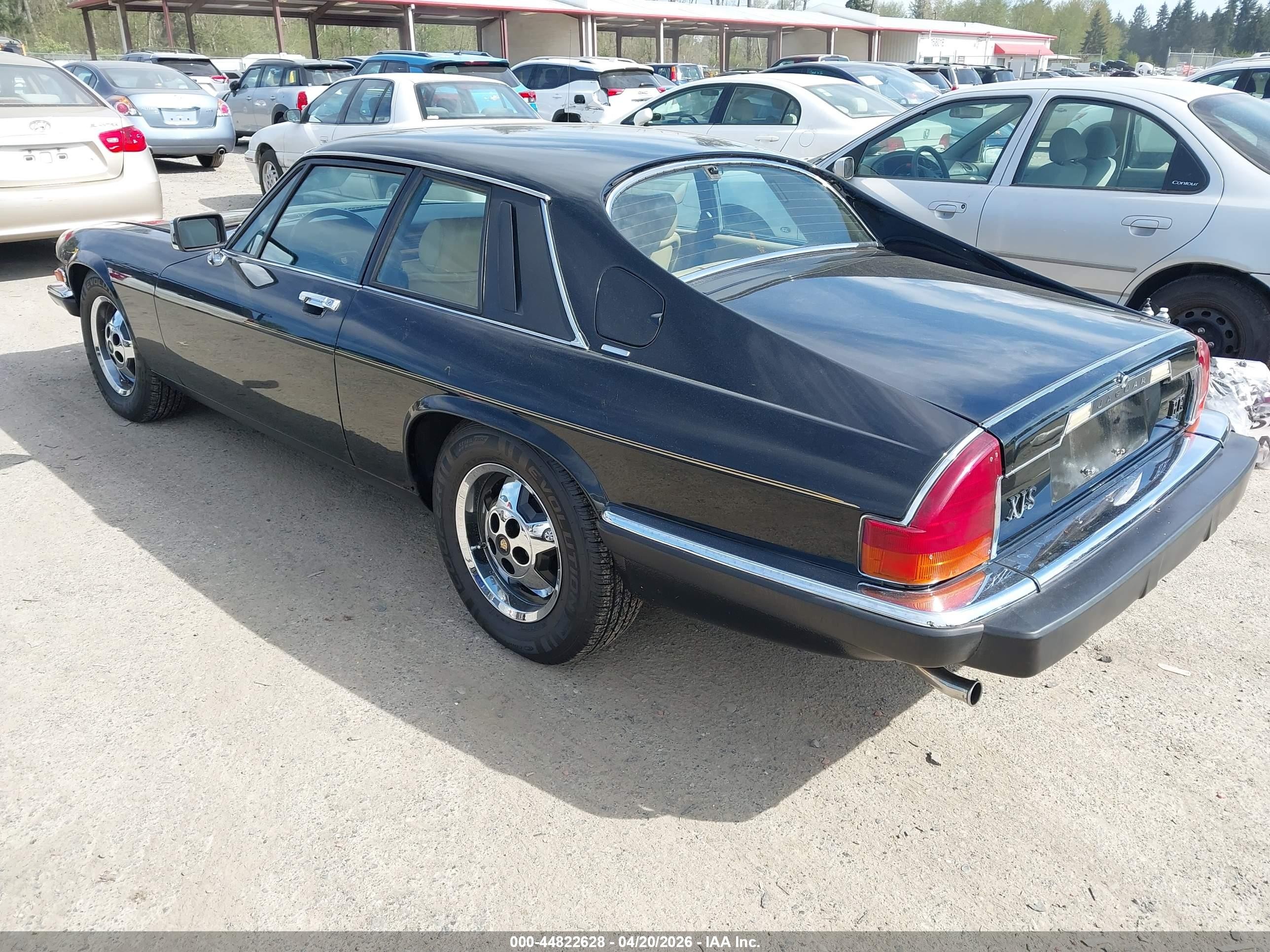1983 Jaguar Xjs   Black vin: SAJNV584XDC110152