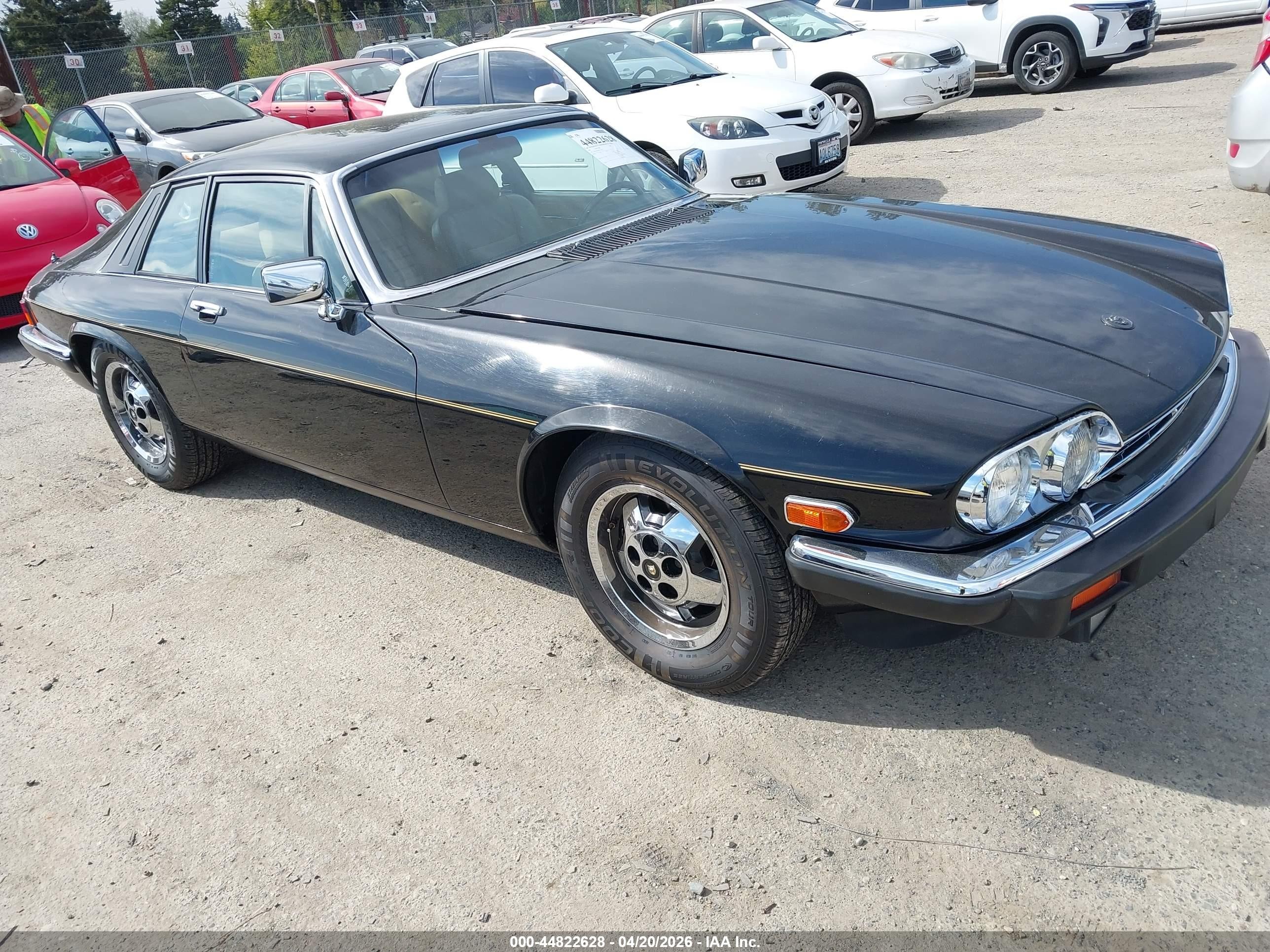 1983 Jaguar Xjs   Black vin: SAJNV584XDC110152