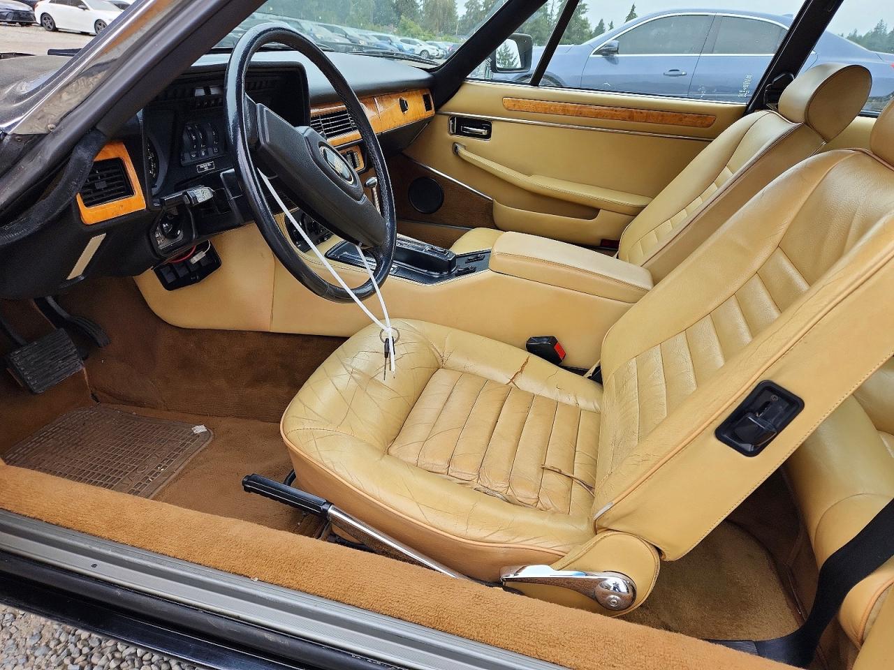 1983 Jaguar Xjs Black vin: SAJNV584XDC110152