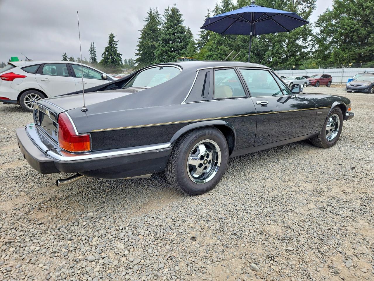 1983 Jaguar Xjs Black vin: SAJNV584XDC110152