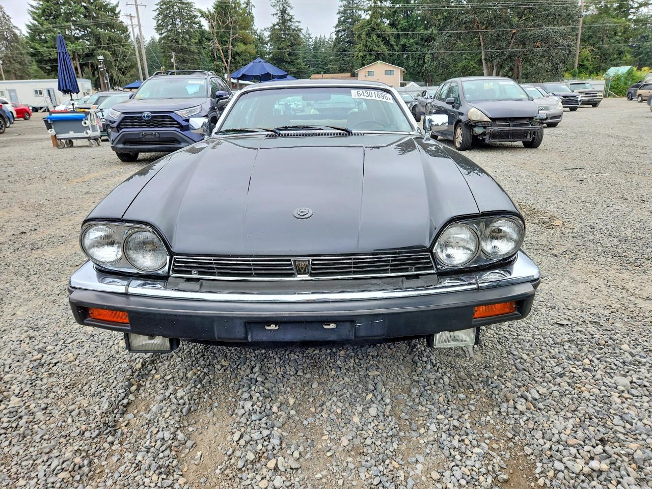 1983 Jaguar Xjs Black vin: SAJNV584XDC110152