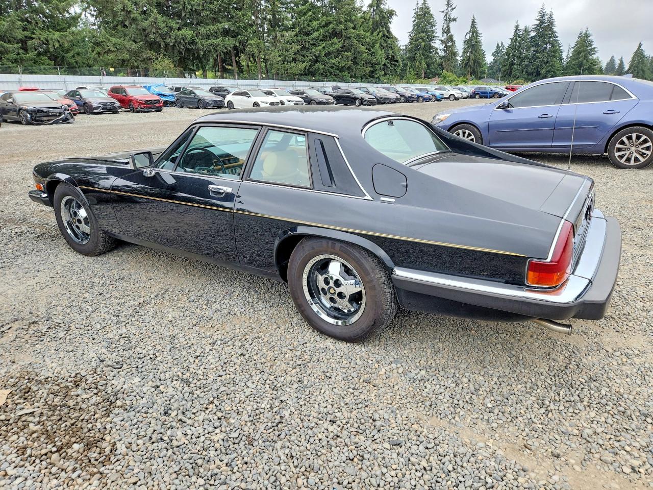 1983 Jaguar Xjs Black vin: SAJNV584XDC110152