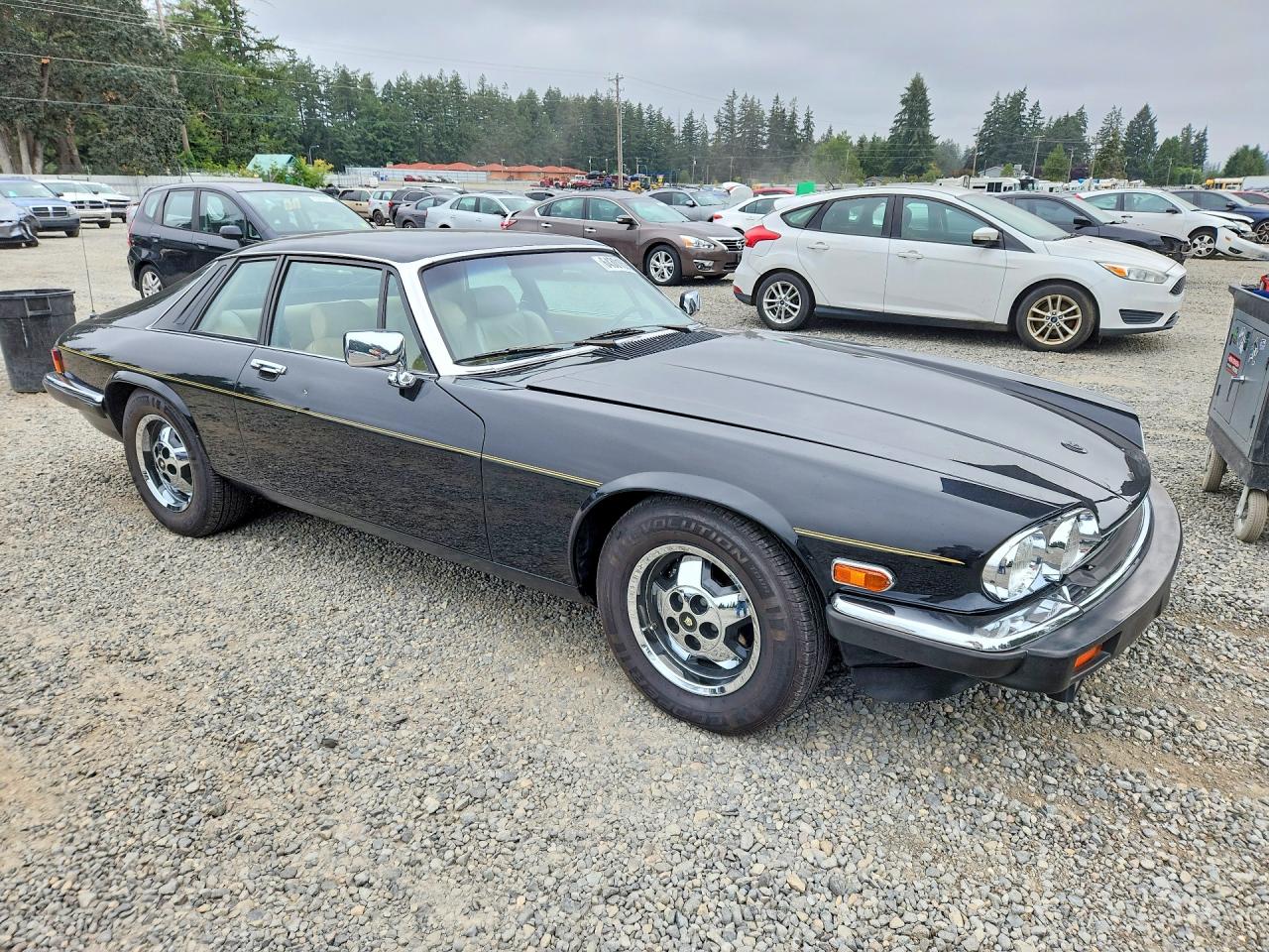 1983 Jaguar Xjs Black vin: SAJNV584XDC110152