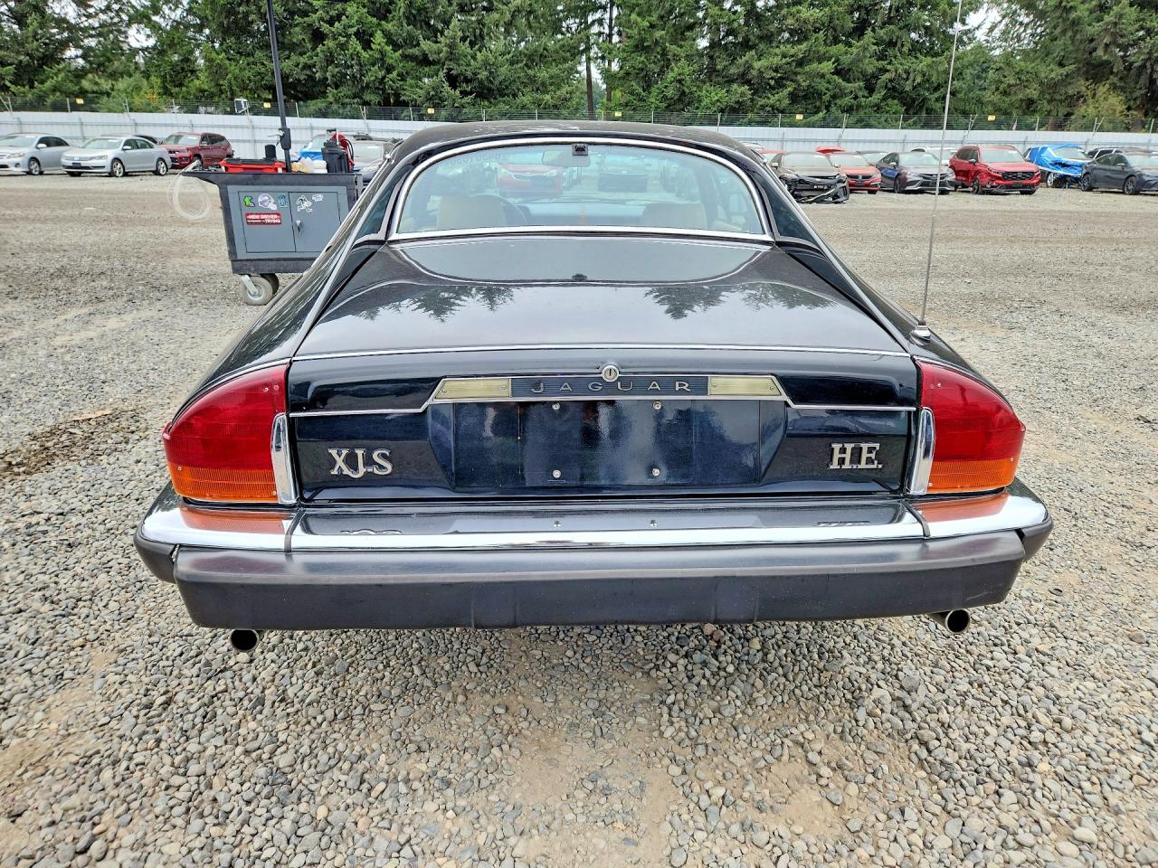 1983 Jaguar Xjs Black vin: SAJNV584XDC110152