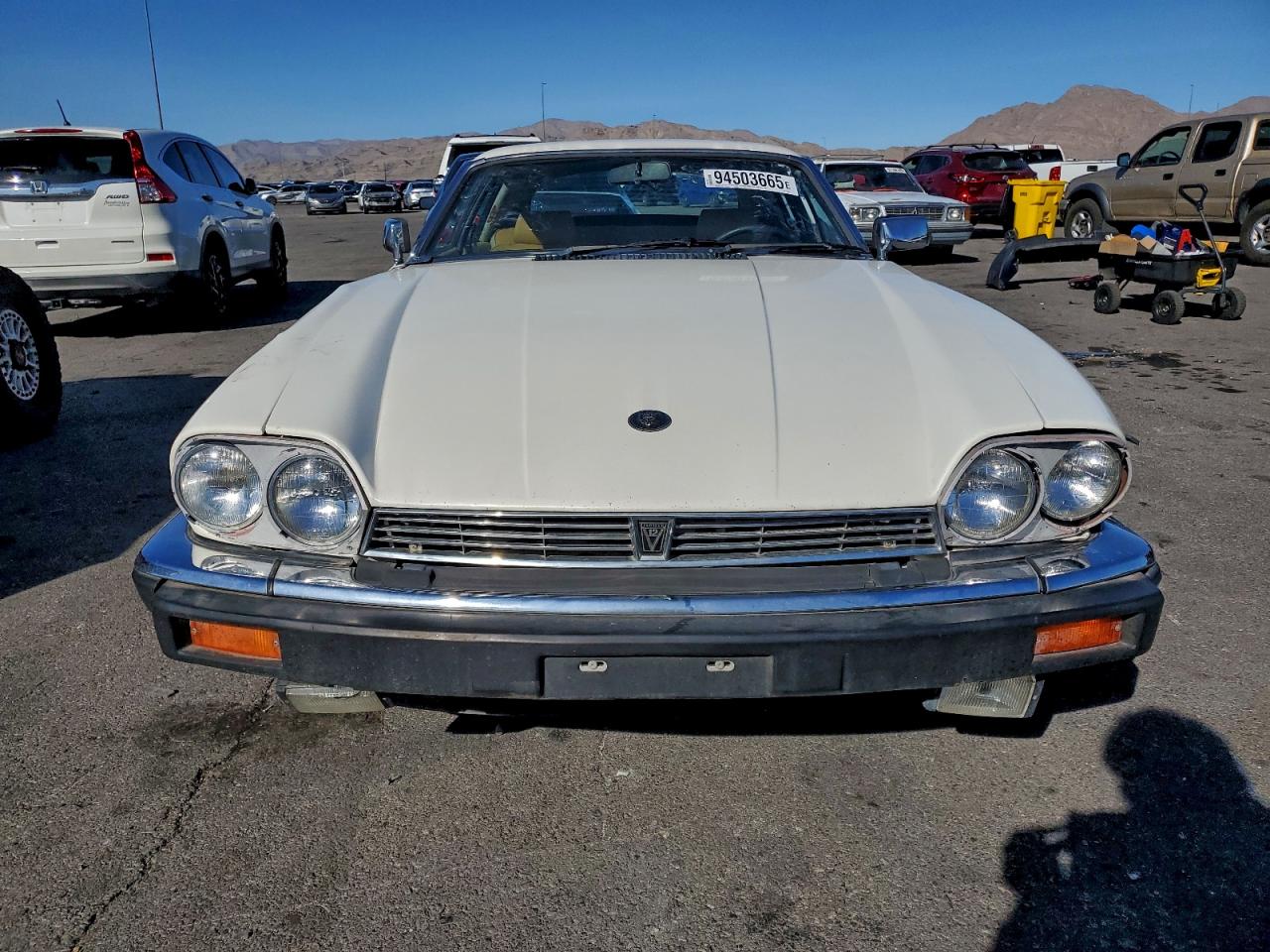 1983 Jaguar Xjs Белый vin: SAJNV584XDC110801