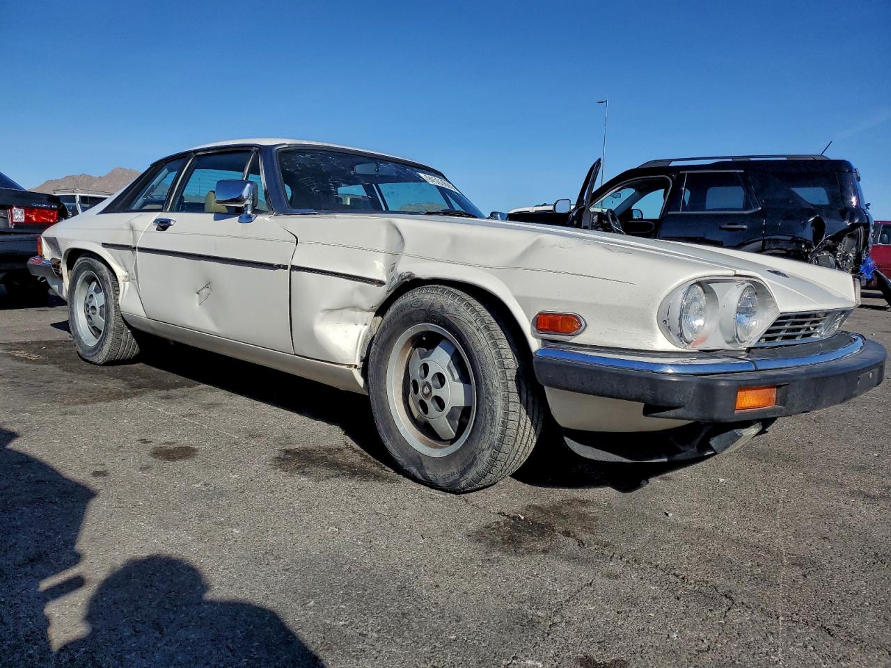 1983 Jaguar Xjs Белый vin: SAJNV584XDC110801