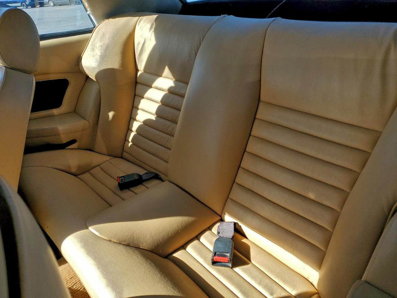 1983 Jaguar Xjs Белый vin: SAJNV584XDC110801