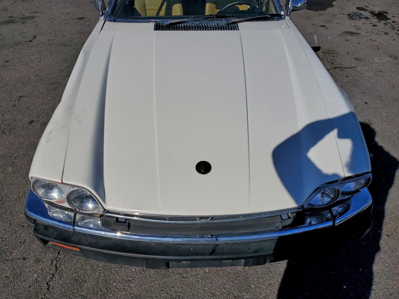 1983 Jaguar Xjs Белый vin: SAJNV584XDC110801