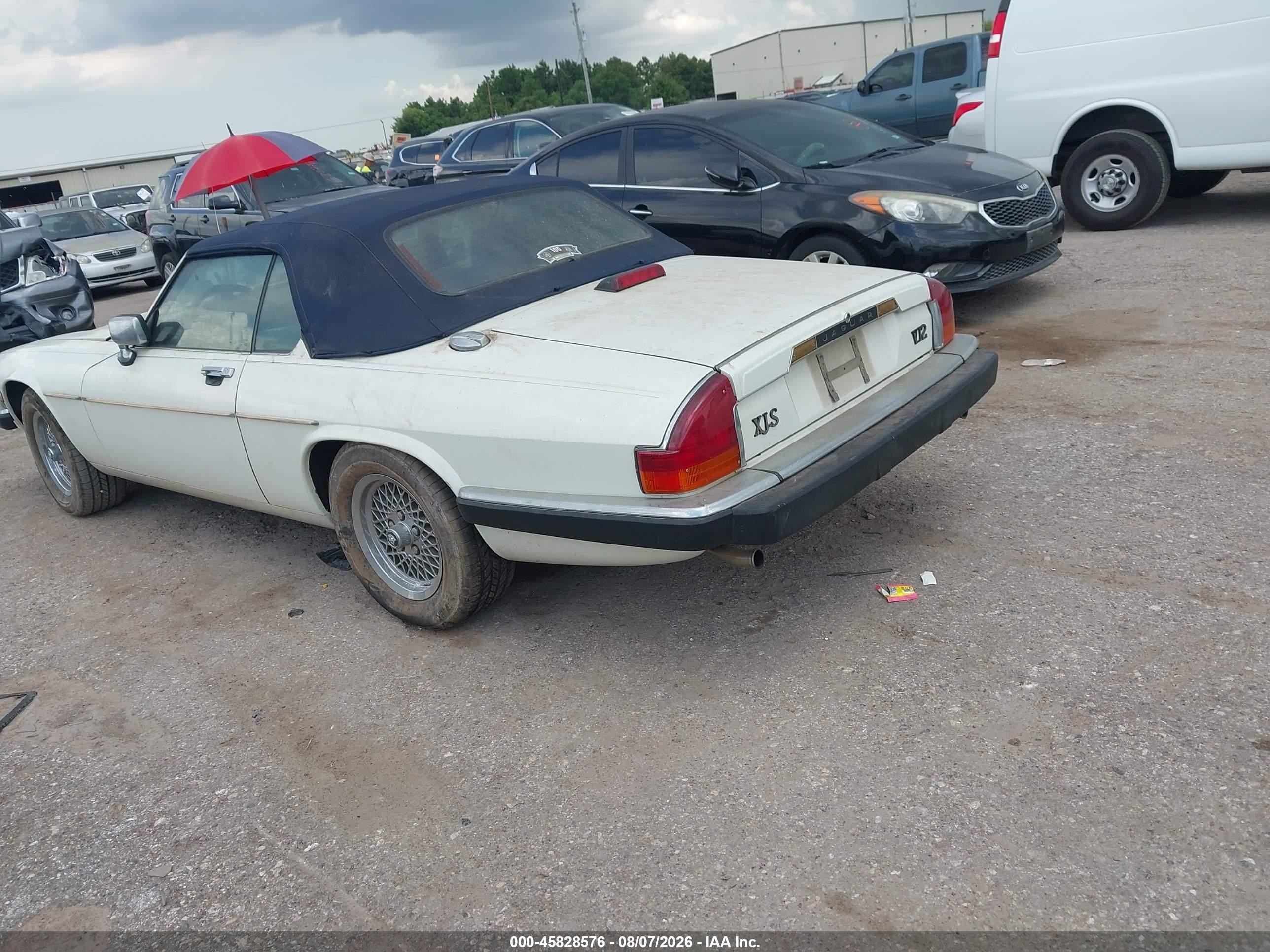 1990 Jaguar Xjs   White vin: SAJNW4844LC168408