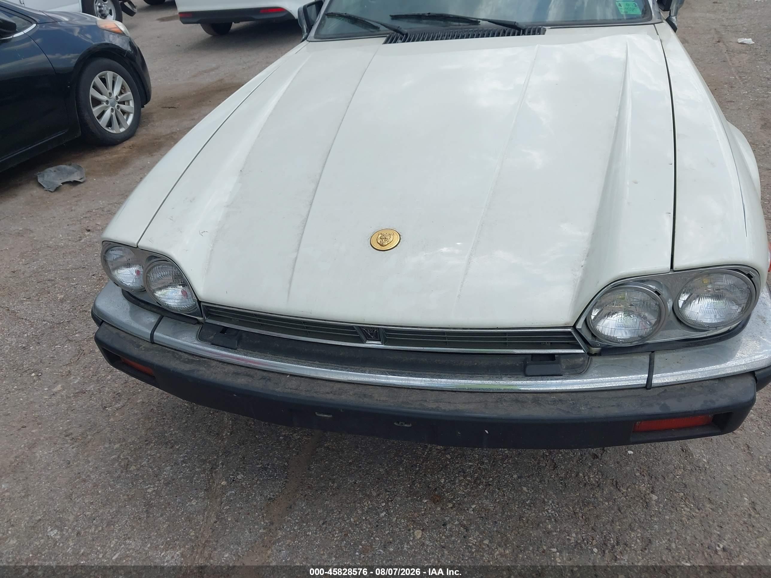 1990 Jaguar Xjs   White vin: SAJNW4844LC168408