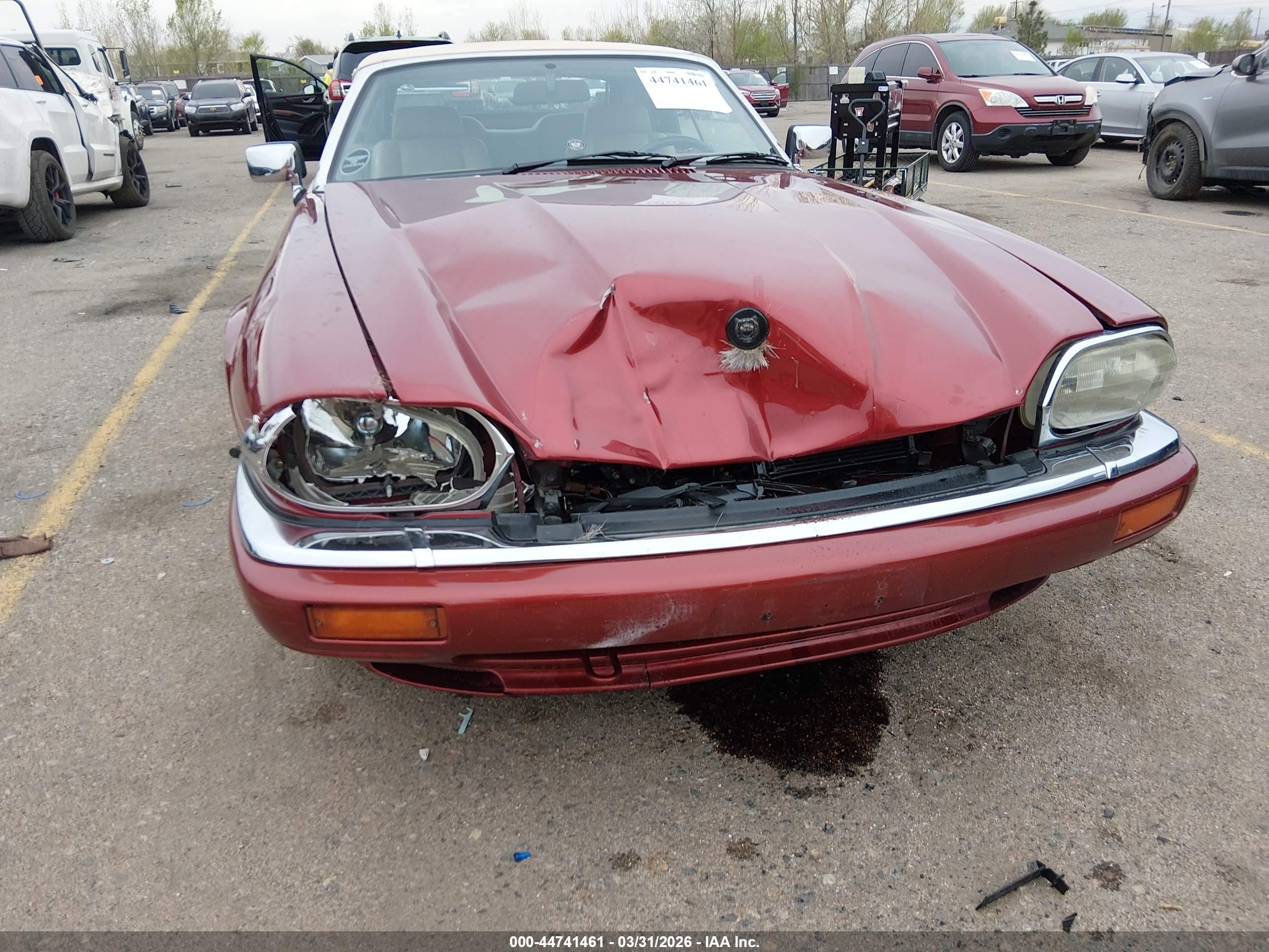 1994 Jaguar Xjs 2+2 Red vin: SAJNX2745RC191109
