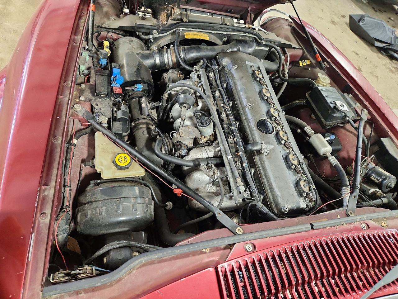 1996 Jaguar Xjs 2+2 Бордовый vin: SAJNX2747TC224263